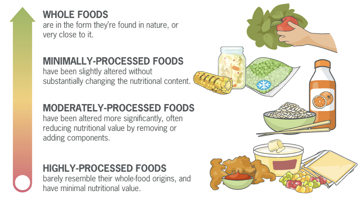 Understanding Processed Foods And Their Role In Your Diet BODZii